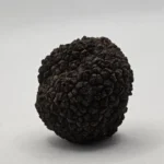 Svež crni tartuf 30 grama