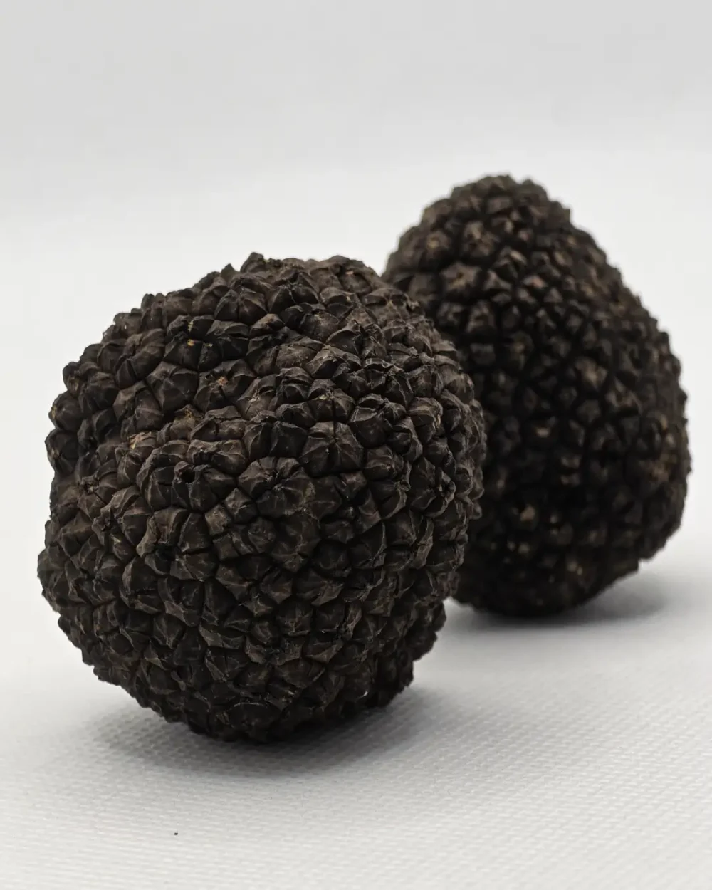 Svež crni tartuf 60 grama